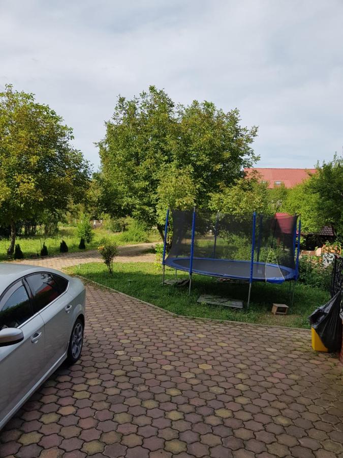 Pensiunea Ruxandra Băile 1. Mai Eksteriør bilde
